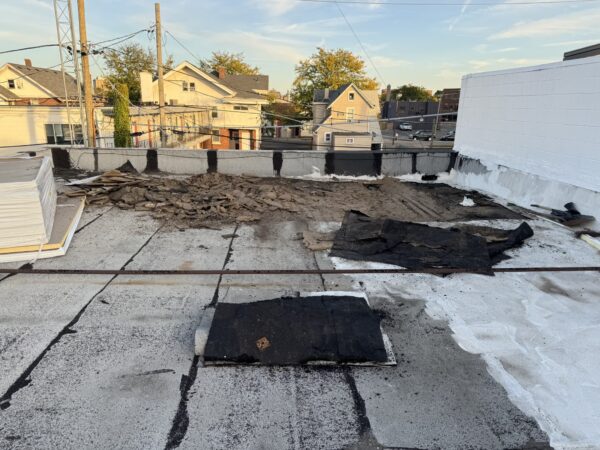 North 3rd Rockford, IL project photo 3