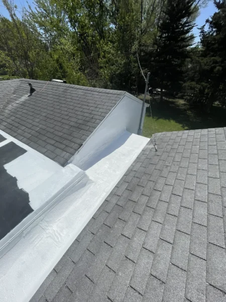 Superior Rockford, IL project photo 2