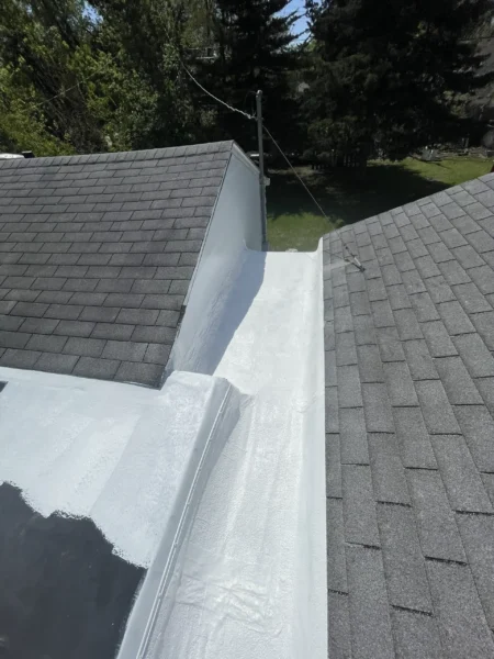 Superior Rockford, IL project photo 3