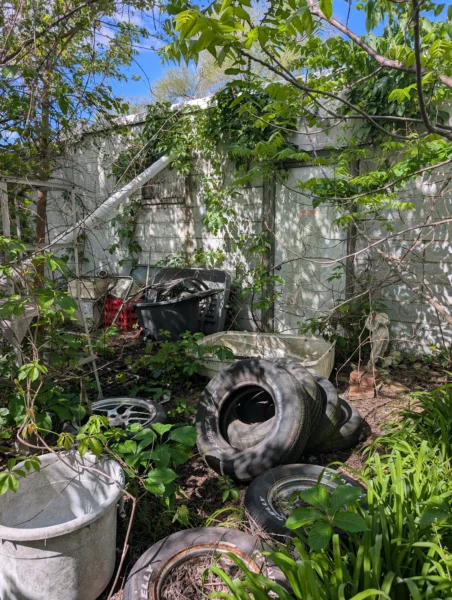 Harriet Ave Loves Park, IL project: Back yard cleanup before