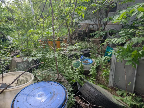 Harriet Ave Loves Park, IL project: Back yard cleanup before
