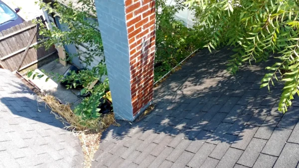 Grand Loves Park project: Chimney flashing repair