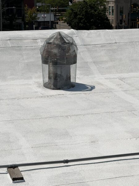 Market St Rockford, IL project: Roof animal protection