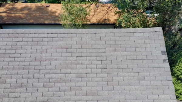 Grand Loves Park project: Missing shingle roof repair
