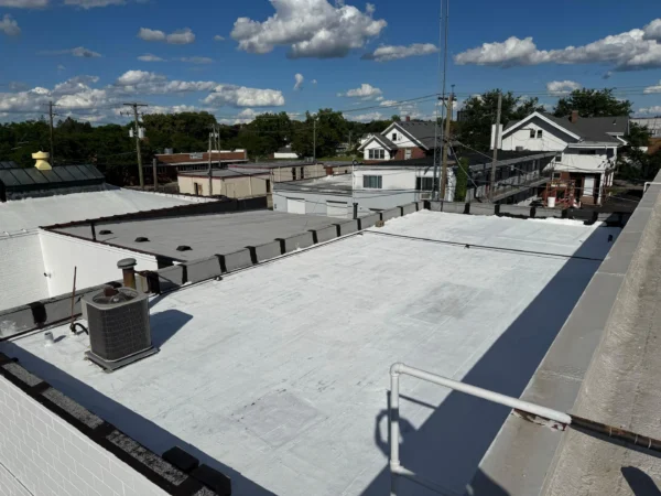 North 3rd Rockford, IL project: Roof sealant repair